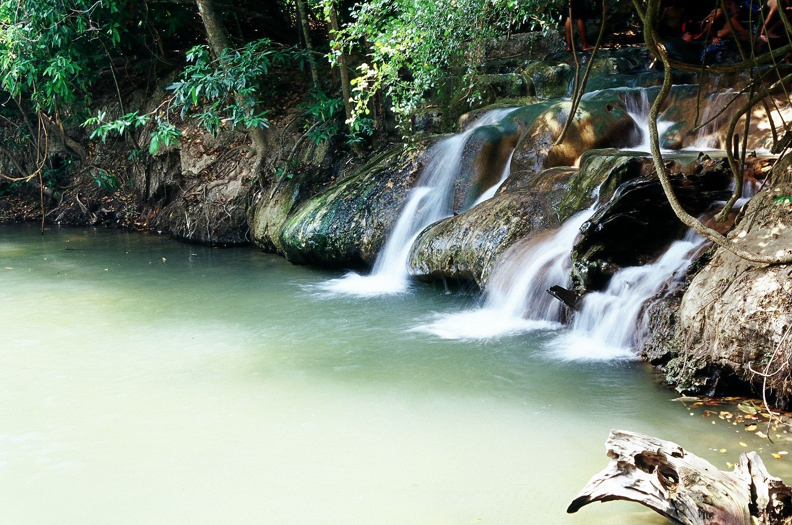 KrabiRainforest3